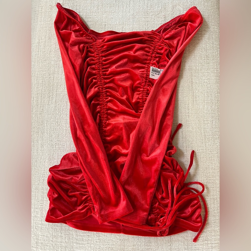Wild Fable red dress